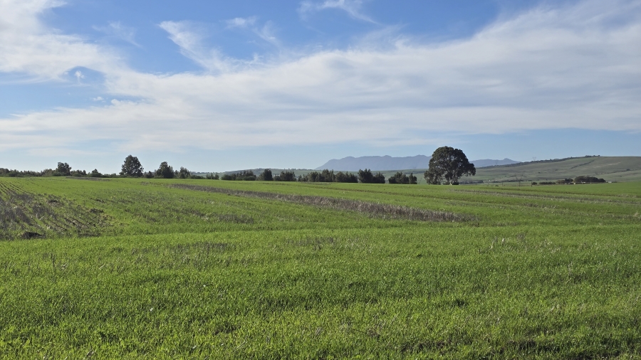 Commercial Property for Sale in Paarl Rural Western Cape